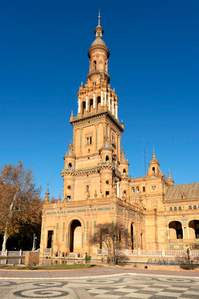 Servicios SABER MÁS